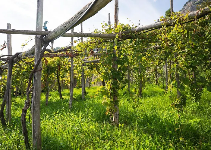 Dimora De Feo Appartement *