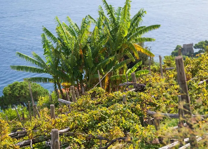 Dimora De Feo Amalfi