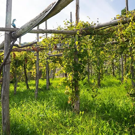 Dimora De Feo Apartment *