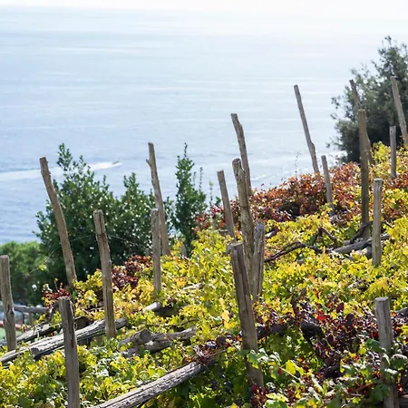 Dimora De Feo Apartment