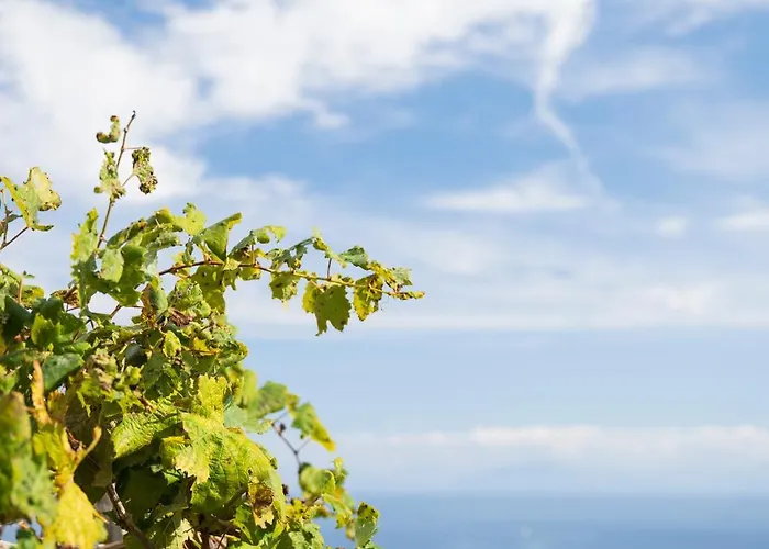 Dimora De Feo Amalfi